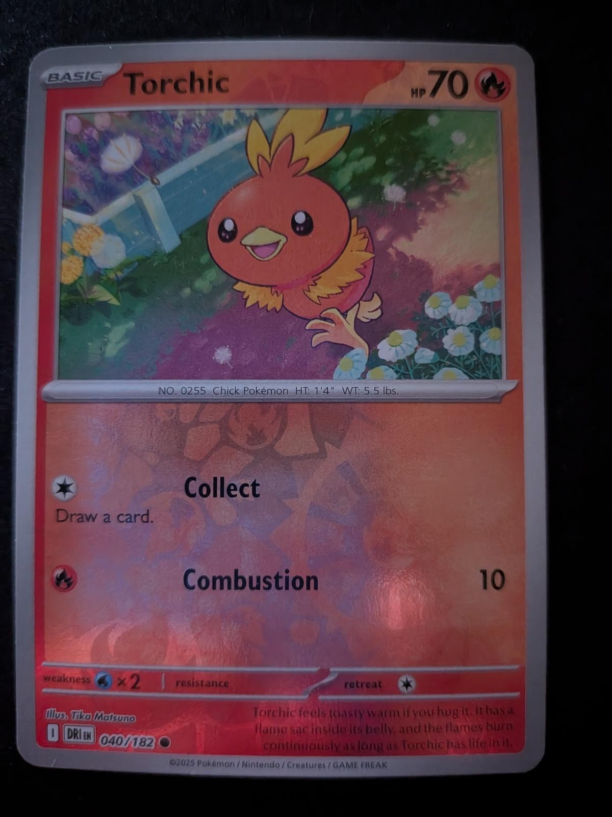 Torchic 040/182