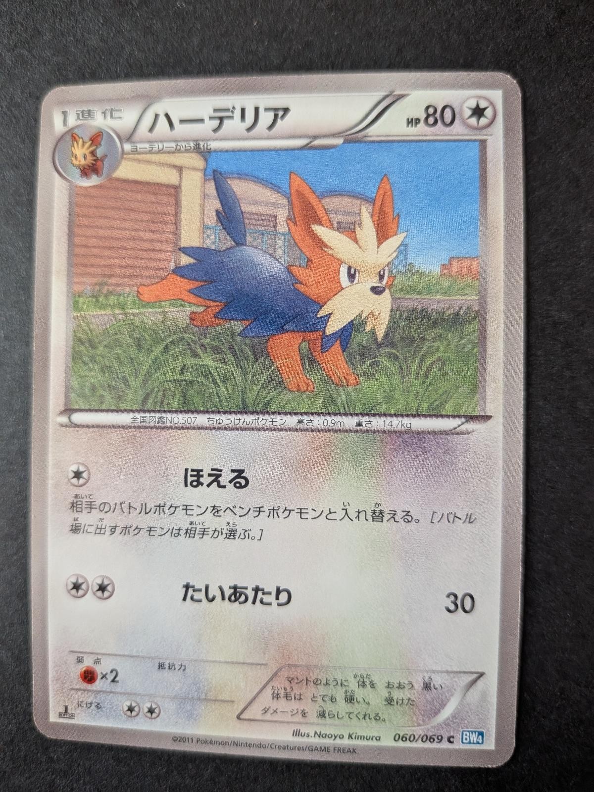 Herdier 060/069 Common Dark Rush Pokemon Japanese 1st Edition Near Mint