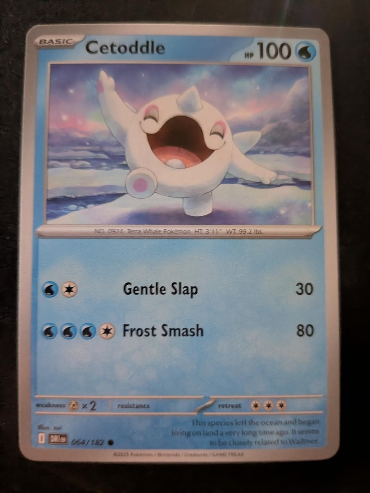 Cetoddle 064/182 Common Destined Rivals Pokemon Near Mint
