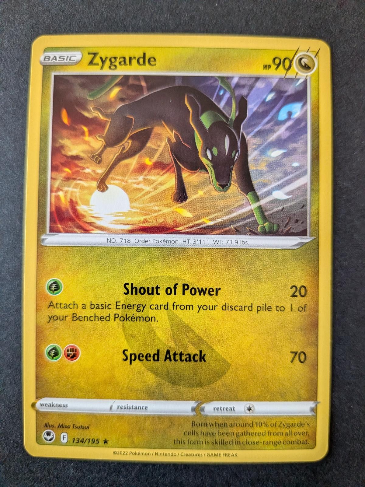 Zygarde 134/195 Rare Silver Tempest Pokemon Lightly Played