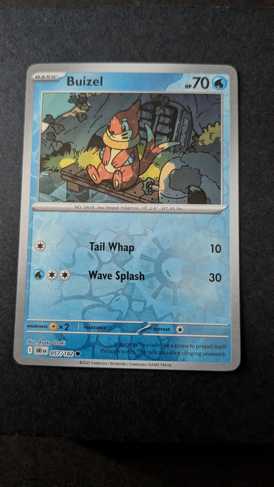View 2 of Buizel 057/182 Common Destined Rivals Pokemon Near Mint