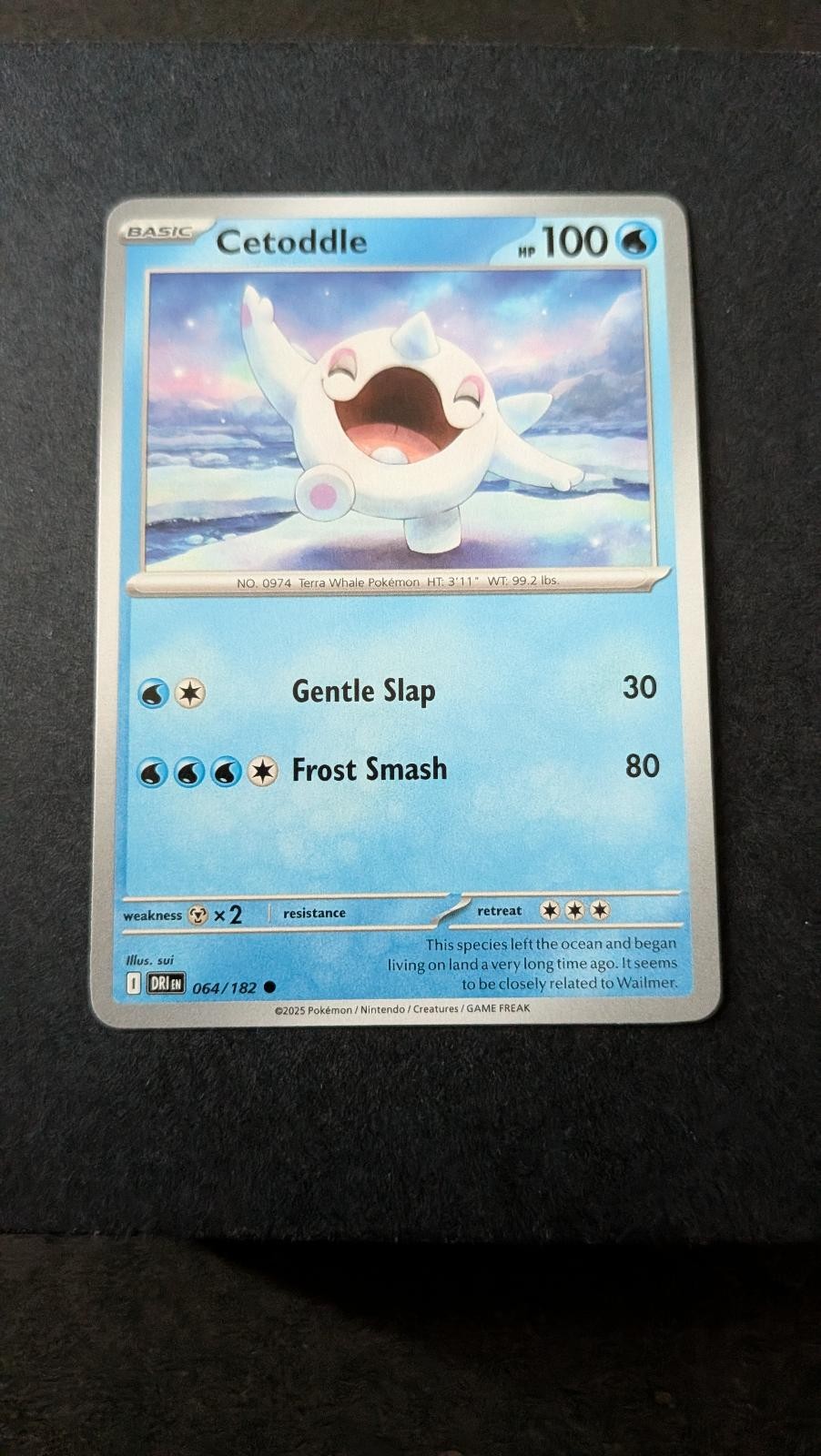 View 2 of Cetoddle 064/182 Common Destined Rivals Pokemon Near Mint