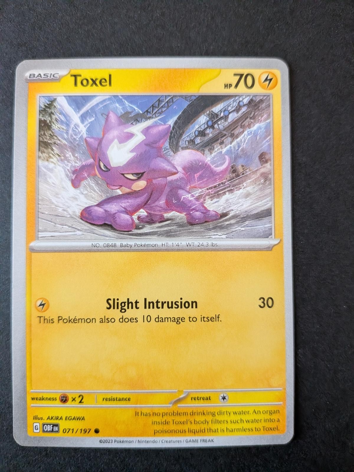 Toxel 071/197 Common Obsidian Flames Pokemon Lightly Played