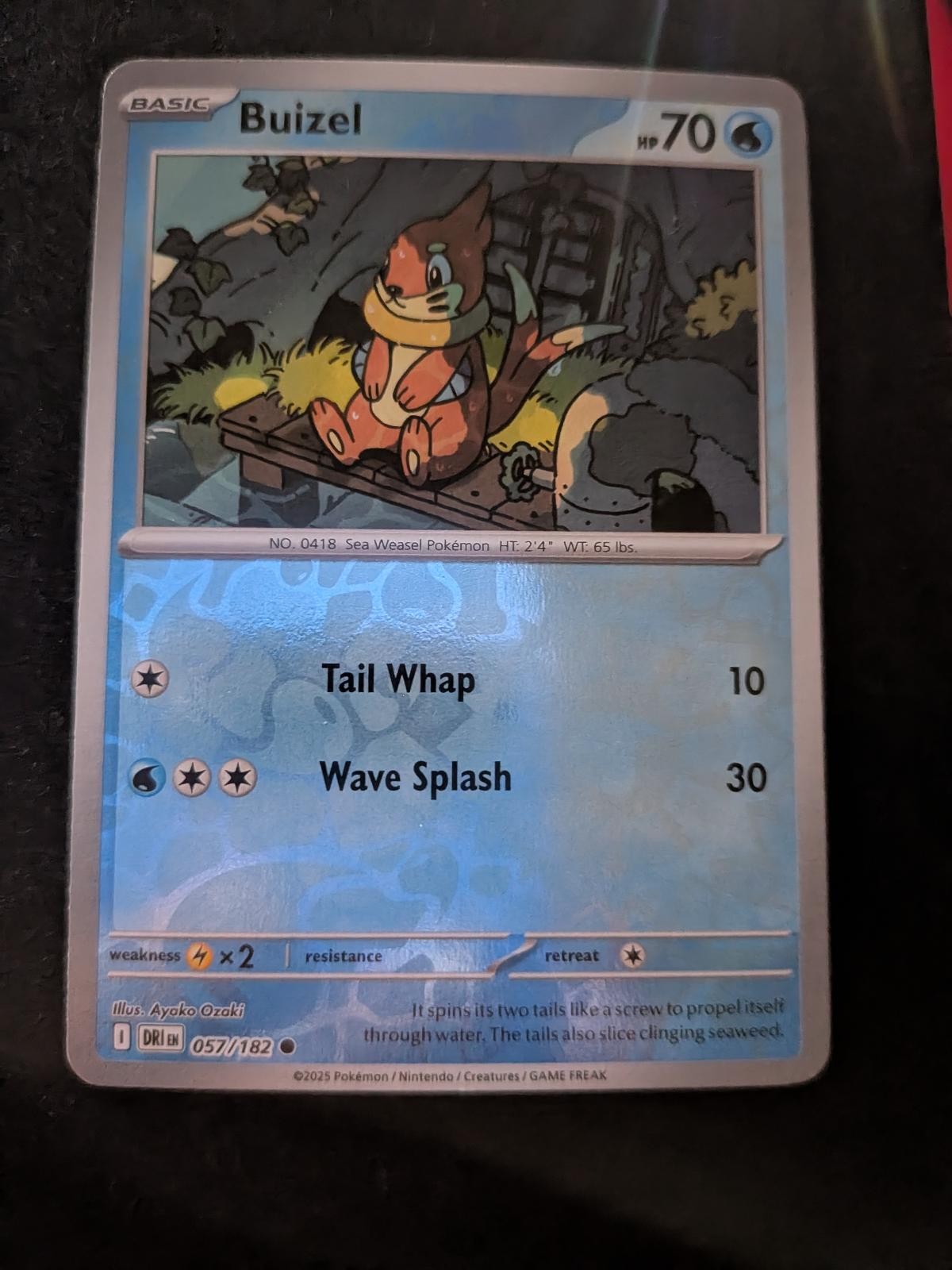 Buizel 057/182 Common Destined Rivals Pokemon Near Mint
