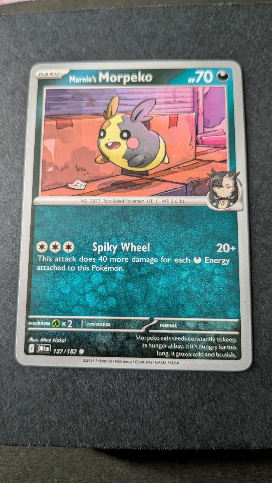 View 2 of Marnie's Morpeko 137/182 Common Destined Rivals Pokemon Near Mint