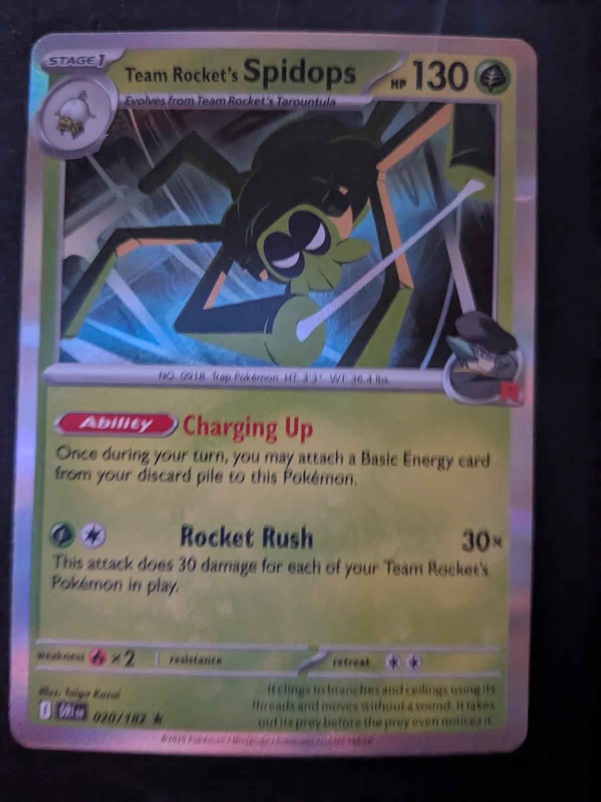 Team Rocket's Spidops 020/182 RareHolo