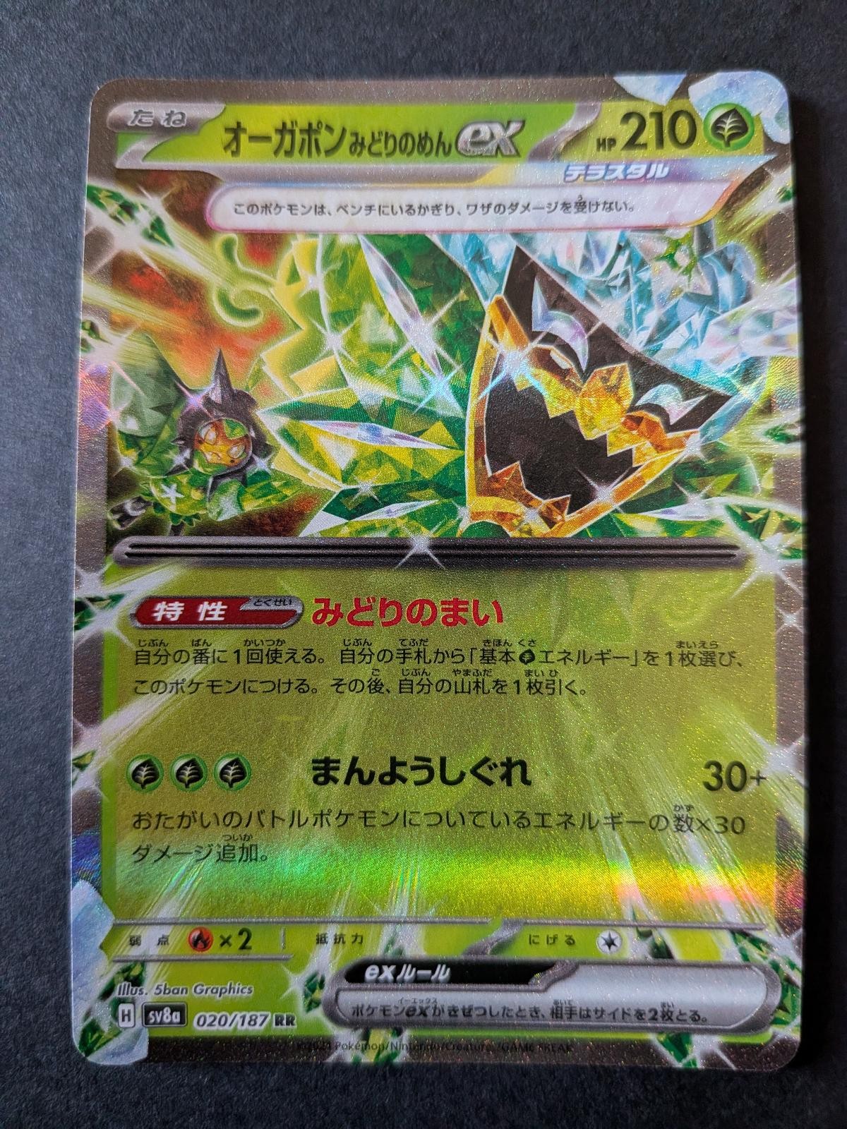 View 2 of Teal Mask Ogerpon ex 020/187 SV8a: Terastal Festival ex Pokemon Japanese Holo NM