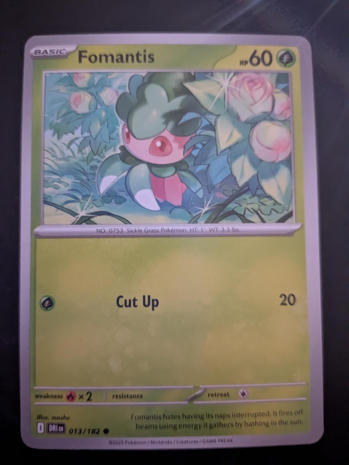 Fomantis 013/182