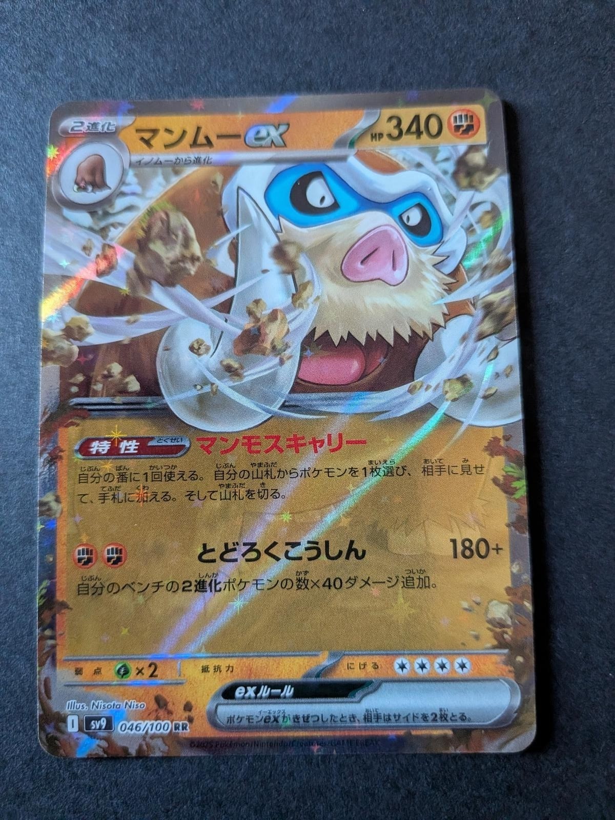 Mamoswine EX 046/100 Double Rare Battle Partners Pokemon Japanese Holo Near Mint