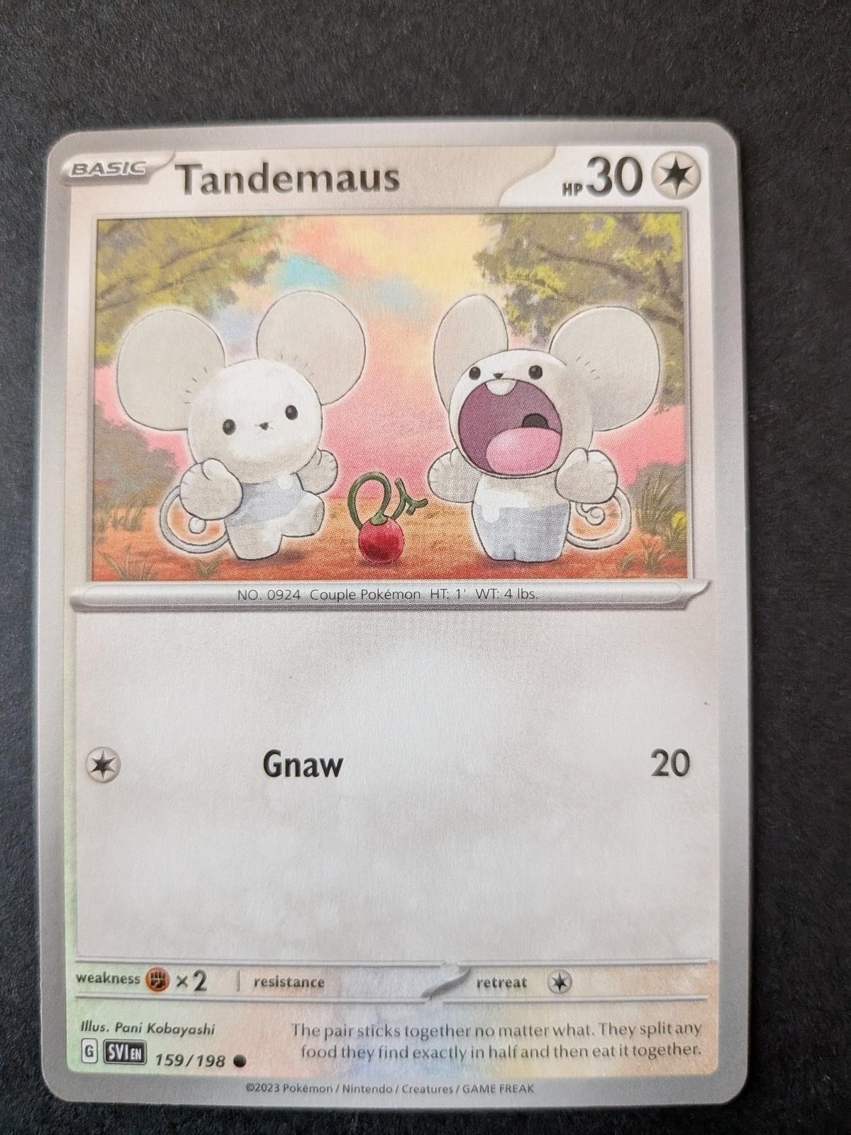 Tandemaus 159/198 Common Scarlet & Violet Pokemon Lightly Played