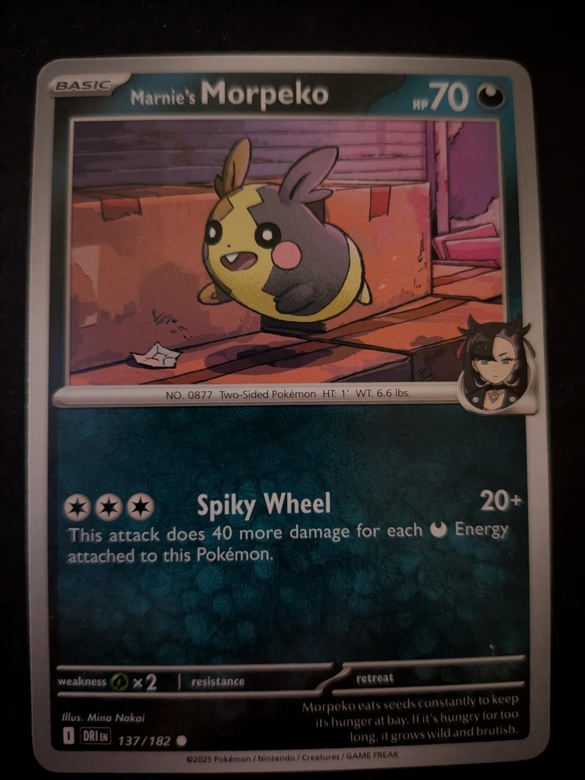 Marnie's Morpeko 137/182 Common Destined Rivals Pokemon Near Mint